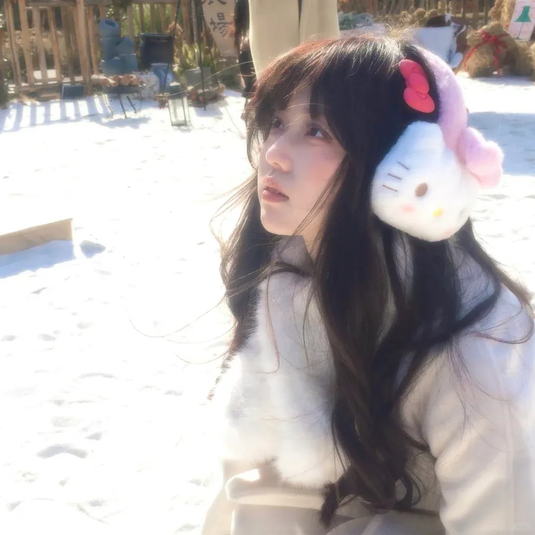 少奇同志在东北